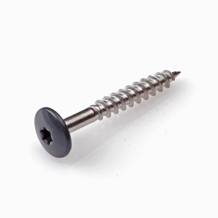 Trespa bevestigingsschroeven RVS - T20 - 4,8x32mm - Deeldraad - Zwart RAL 9005 (100 stuks) Trespa bevestigingsschroeven RVS - T20 - 4,8x32mm - Deeldraad - Zwart RAL 9005 (100 stuks)