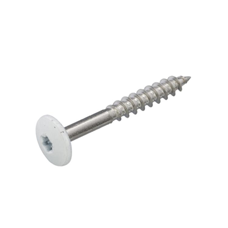 RVS Trespa montageschroeven - Torx 20 - 4,8x50mm - Deeldraad - Wit RAL 9010 (100 stuks) RVS Trespa montageschroeven - Torx 20 - 4,8x50mm - Deeldraad - Wit RAL 9010 (100 stuks)