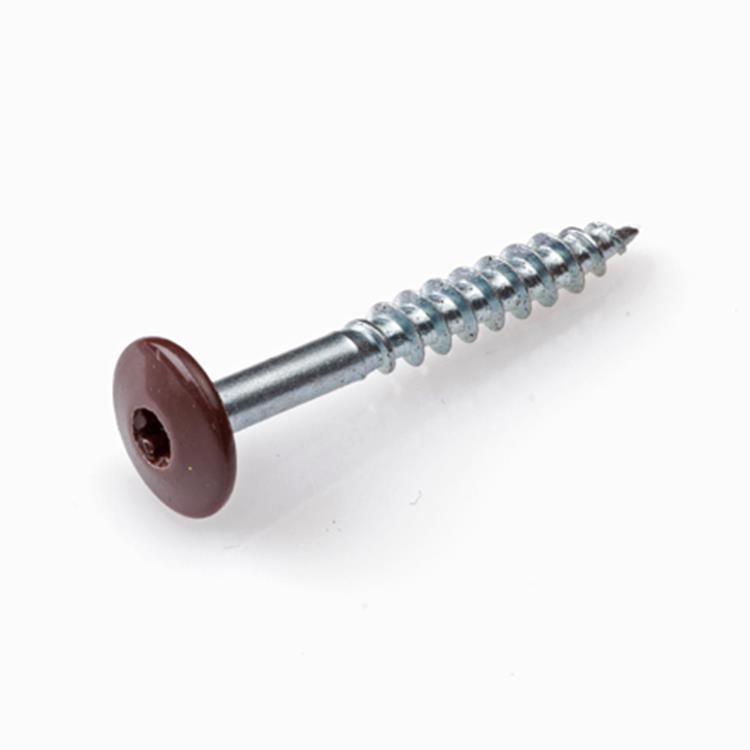 Trespa bevestigingsschroeven - T20 Torx - 4,8x32mm - RVS deeldraad - RAL 8014 bruin (100 stuks)