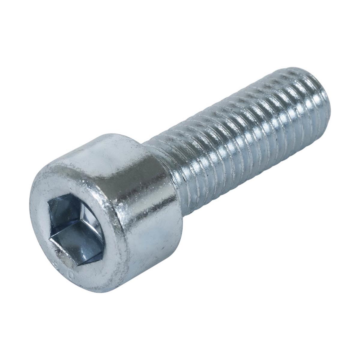 Binnenzeskantbout M6 x 10mm - Verzinkt - 8.8 - DIN 912 (200 stuks)