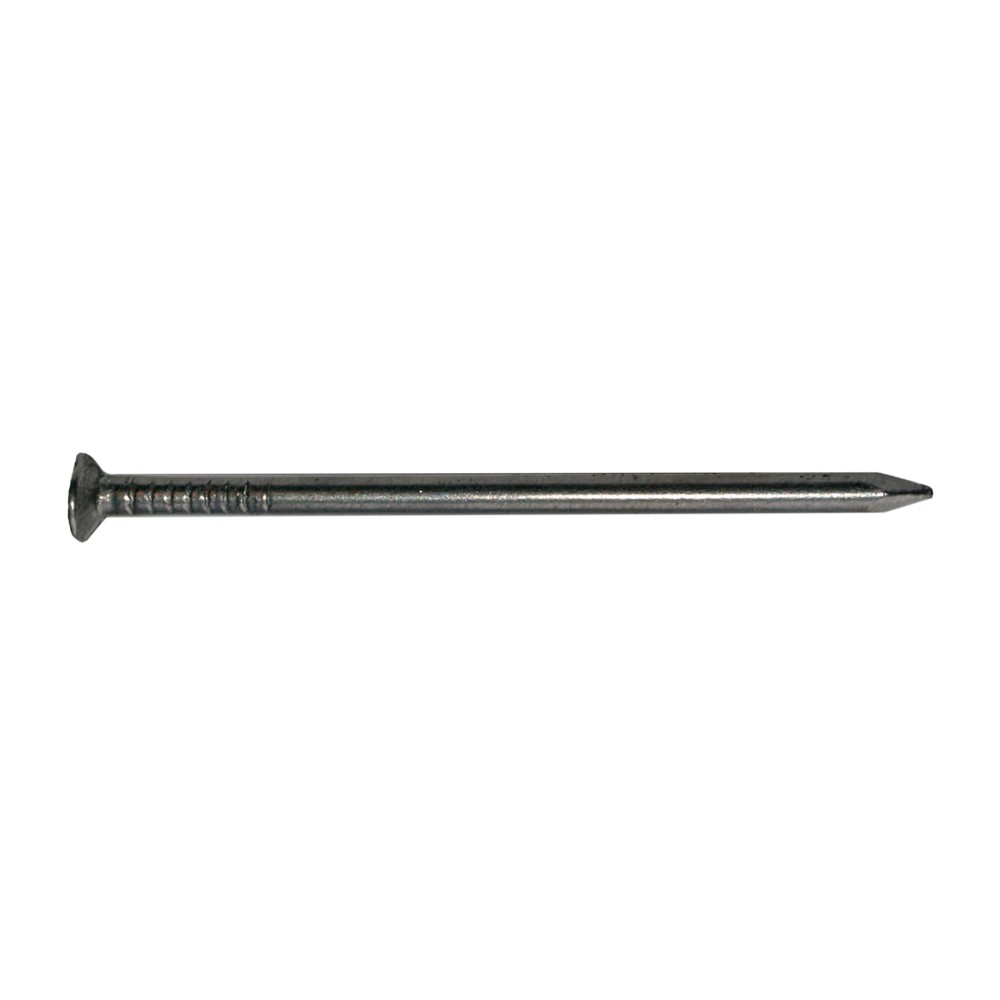 RVS Nagels A2 - 2,8 x 55 mm - 1 kg RVS Nagels A2 - 2,8 x 55 mm - 1 kg